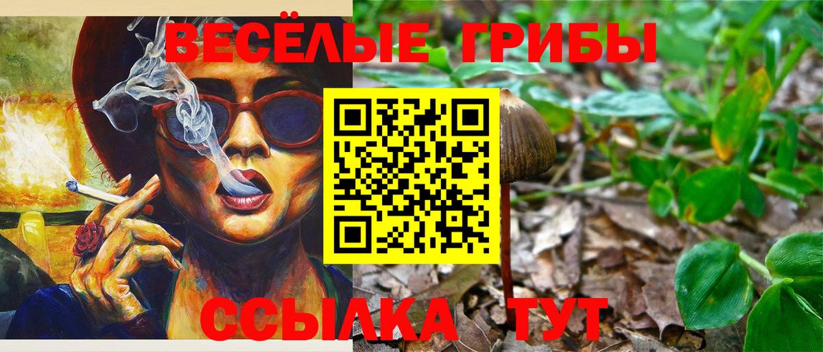 Галлюциногенные грибы прущие грибы Томск