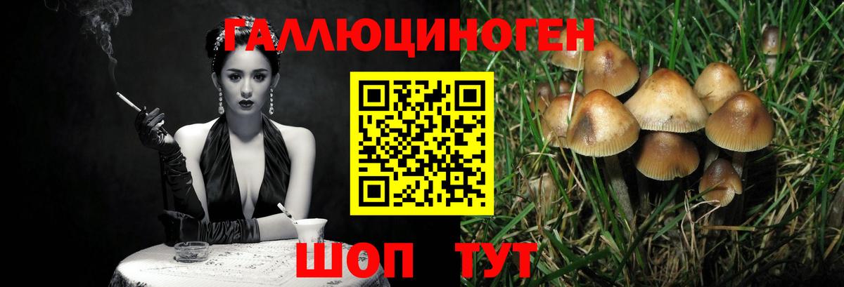 хочу   Галлюциногенные грибы GOLDEN TEACHER  Вход с VPN  Томск 